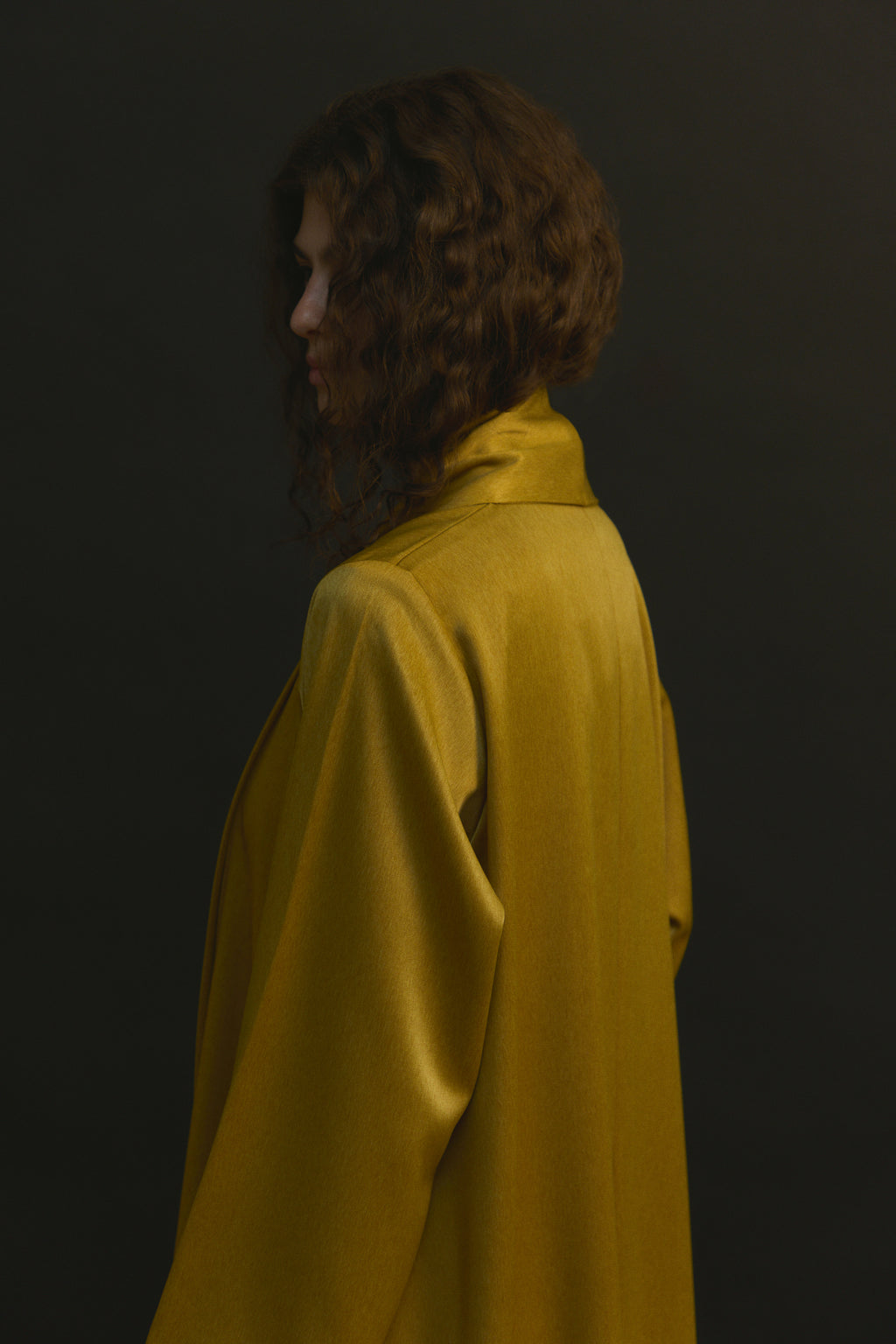 The Dream shal Model