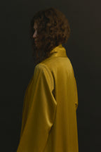 The Dream shal Model