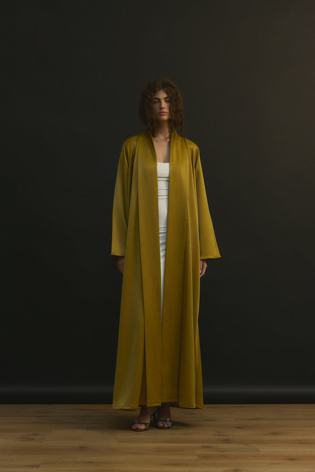 The Dream shal Model