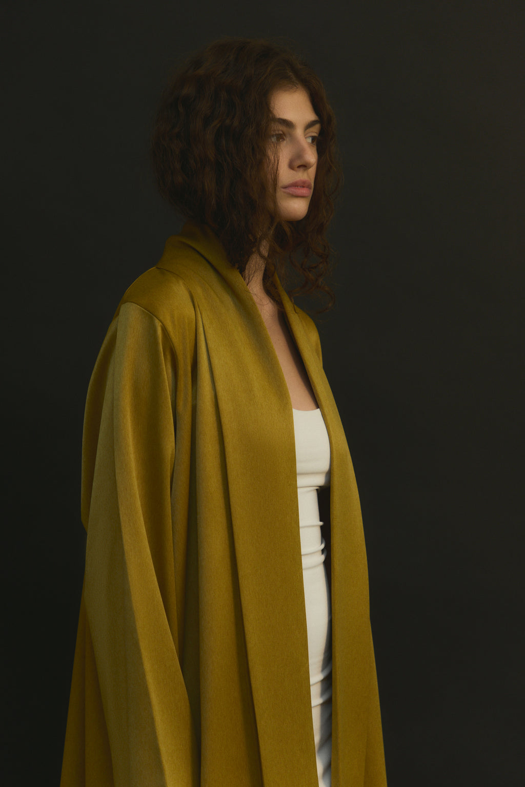 The Dream shal Model